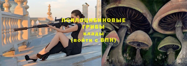 не бодяженный Дмитров